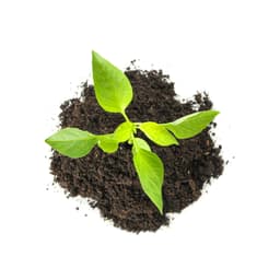 化肥 Fertilizer